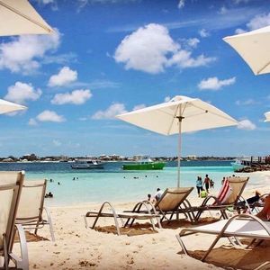 Meet your Posher, Terry